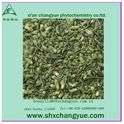 antioxidant  properties sophora japonica flower extract
