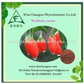 Goji berry Extract 