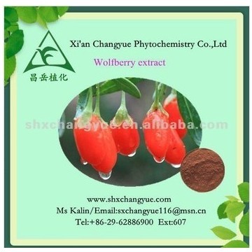 Goji berry Extract 