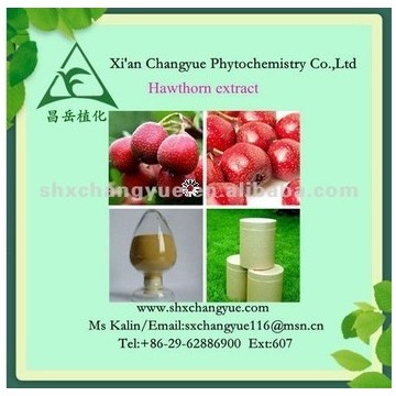 Natural plant chinese hawthorn berry extract (2% Flavonoids&flavone) 