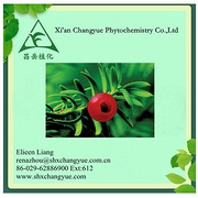 Manufacturer Supply Natural Paclitaxel Extract 