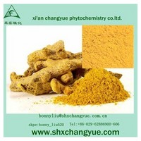 Pure factory price turmeric extract curcumin powder 