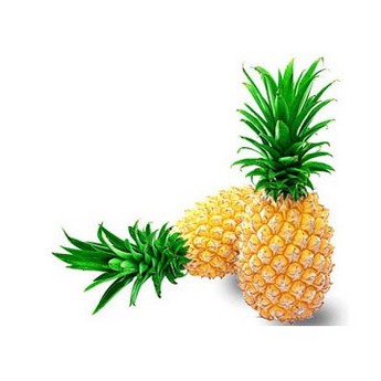 Bromelain 80~2400GDU /g