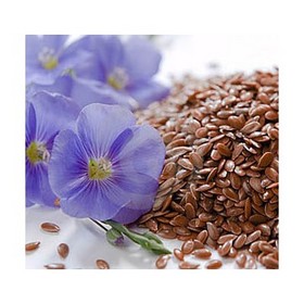 Flax Seed Extract