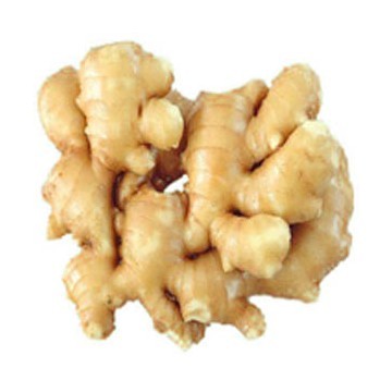 Ginger Extract