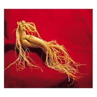 Ginseng Extract