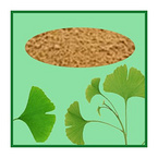 Ginkgo Biloba Extracts