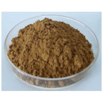 Huperzia Serrata Extract