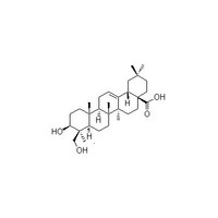 Ivy Extract 