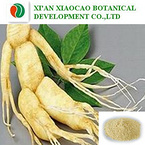 Ginseng P.E.