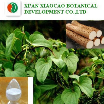 Wild Yam P.E.