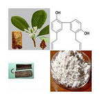 Magnolia Bark Extract