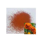 Marigold Extract (Lutein)