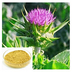 Milk Thistle Extract