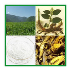 Polygonum Extract