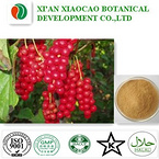 Schisandra Berries Extract Powder