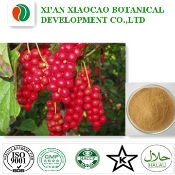 Schisandra Berries Extract Powder