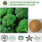 Broccoli Extract Powder