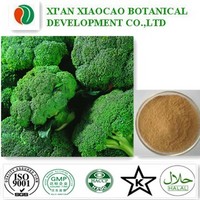 Broccoli Extract Powder