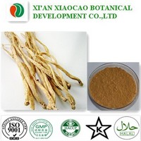 Codonopsis pilosula Extract Powder