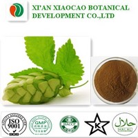 Hops flower Extract Powder