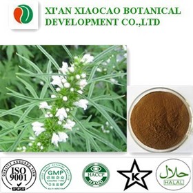 Motherwort Herb Extract Powder