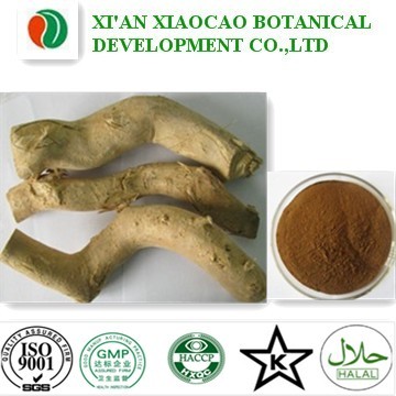 Tongkat ali Extract Powder