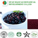 Acai Berry Extract Powder