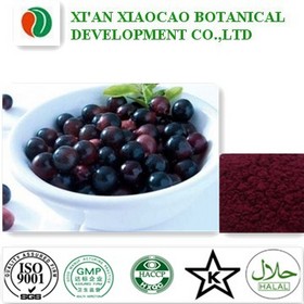 Acai Berry Extract Powder