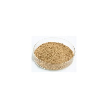 Soy Bean Extract