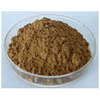 Tribulus Terrestris Extract