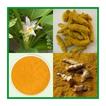 Turmeric Extract 