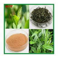 Green Tea Extract/ EGCG