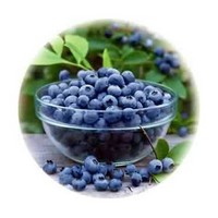 Blueberry Extract Powder