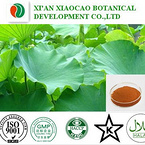 Lotus Leaf P.E.
