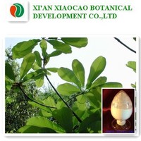 Magnolia officinalis P.E.