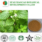 Lemon?Balm Extract Powder