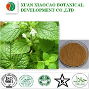Lemon Balm Extract Powder