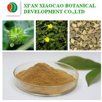Supplier of High Quality Tribulus Terrestris Extract 