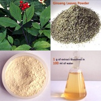 Panax Ginseng Leaf Extract, 80%UV