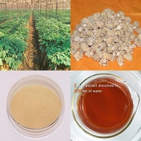 American Ginseng Root Extract 10%HPLC