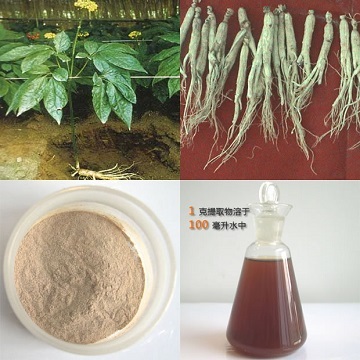 Ginseng Polysaccharides