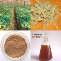 American Ginseng Polysaccharide