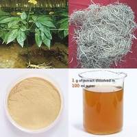  Panax Ginseng Root Extract