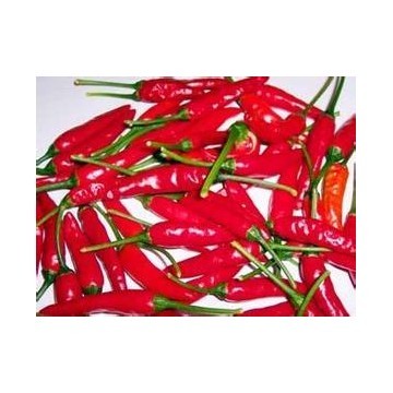 Capsaicin