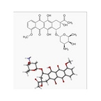 anti-cancer product daunorubicin