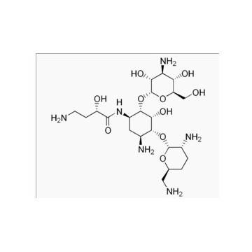 semisynthetic aminoglycoside antibiotic arbekacin