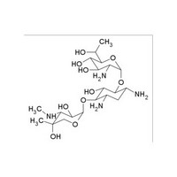 aminoglycoside antibiotic G418 108321-42-2