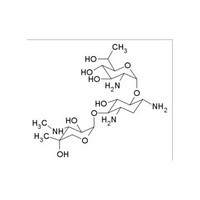 G418 Sulphate