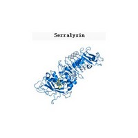  The Miracle Enzyme Serratiopeptidase